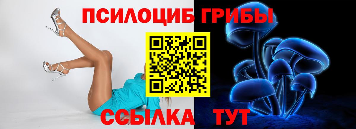 Галлюциногенные грибы мицелий  Псилоцибиновые грибы Cubensis  Озёрск  Вход с VPN 