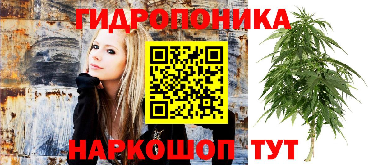 Конопля семена Озёрск